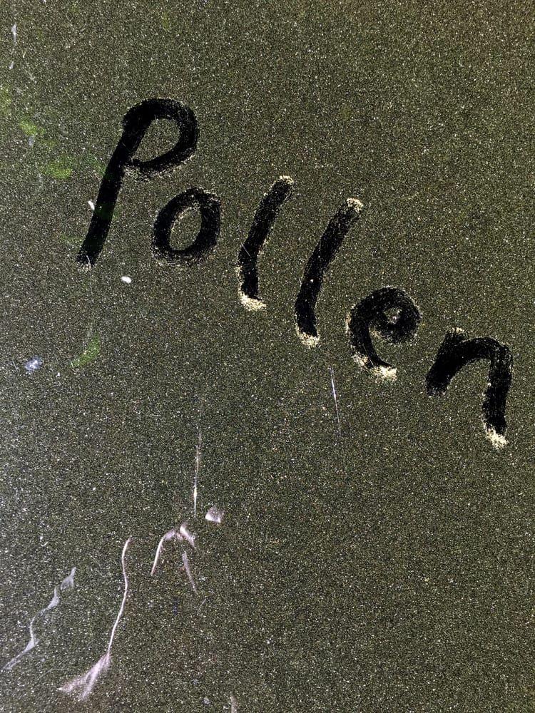 Det finns vaccin mot pollen, men få av allergikerna tar det. 